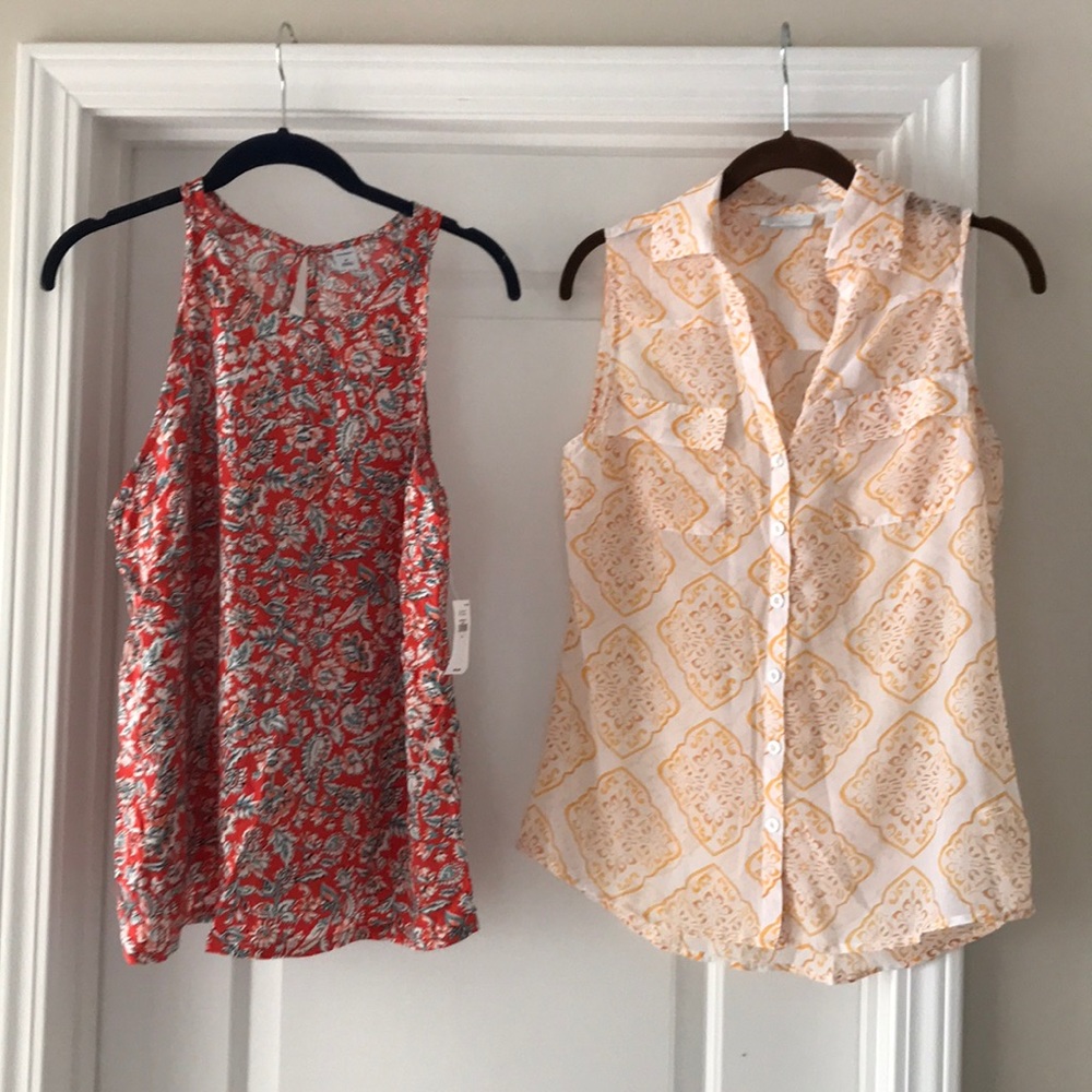 Two sleeveless blouses